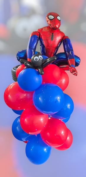 Ballon-Arrangement Hameln · Bouquet zum Geburtstag, zur Hochzeit und für jeden Anlass