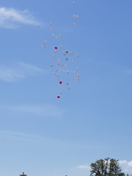 Ballon-Bringdienst Hameln · Lieferung, Massenstart und Ballonservice