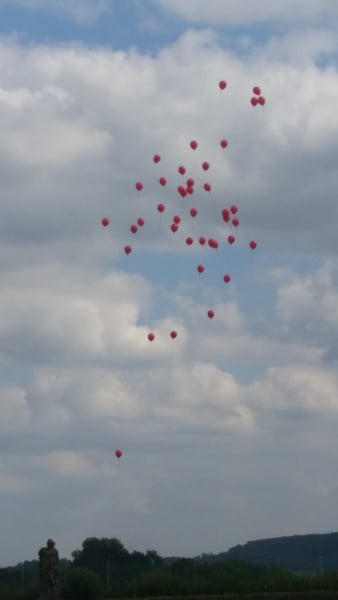 Ballon-Bringdienst Hameln · Lieferung, Massenstart und Ballonservice