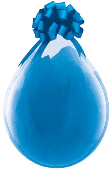 Geschenkballon Hameln · Motiv zum Anlass