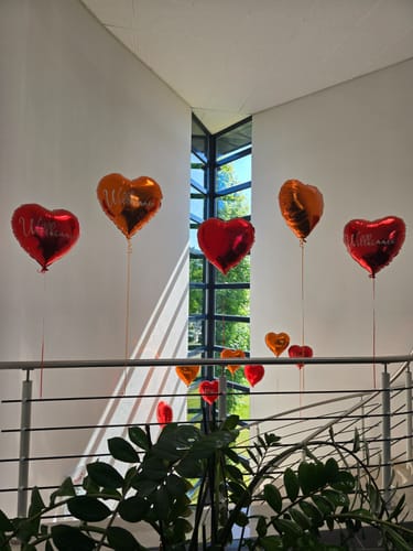 Heliumballons Hameln · Folien- und Latexballons für jeden Anlass