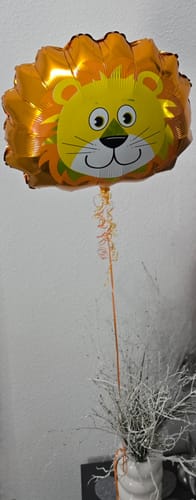 Heliumballons Hameln · Folien- und Latexballons für jeden Anlass