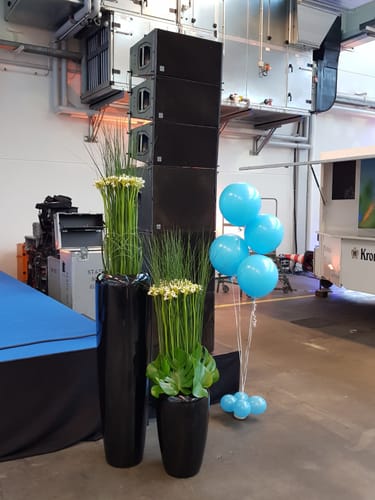 Heliumballons Hameln · Folien- und Latexballons für jeden Anlass