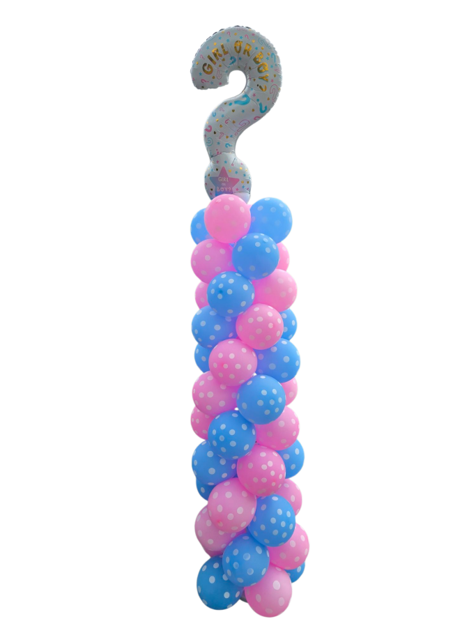 GenderRevealPartyBallonsäuleBabypartyDekoEventShopHameln