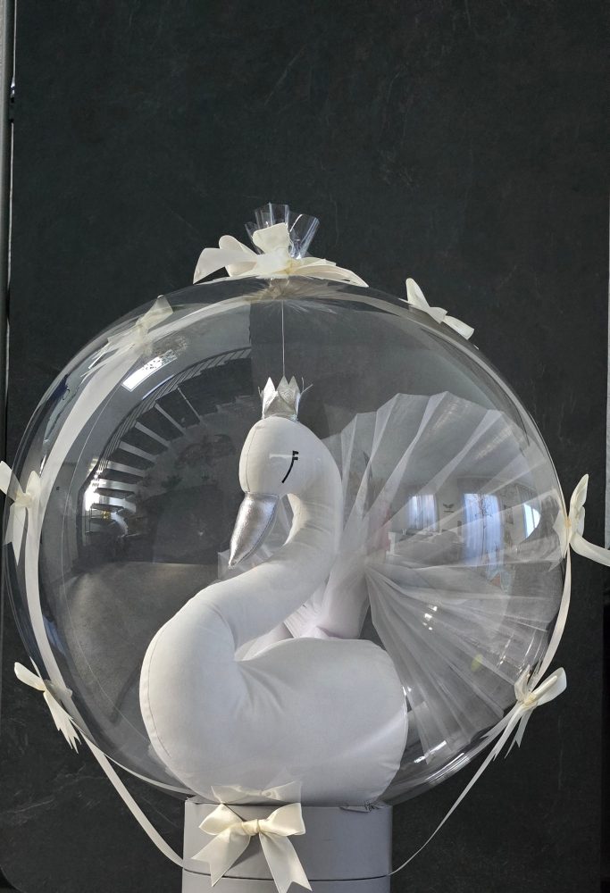 Aquaballon durchsichtig Boboballon transparent für Geschenk zur HochzeitTaufeGeburt BallonShopHameln WeißerSchwan